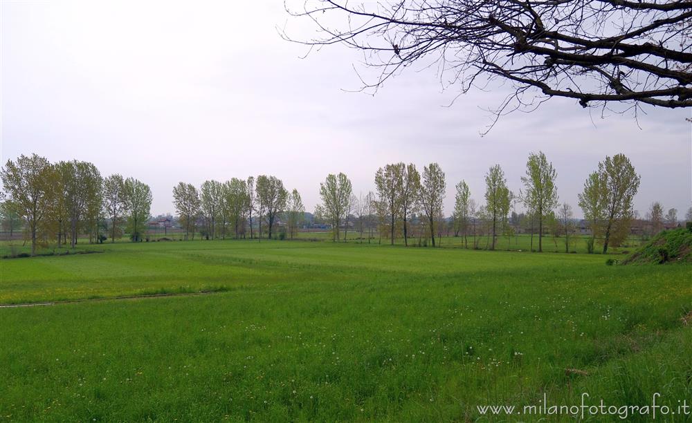 Soncino (Cremona) - Prati primaverili